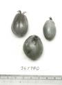 Click for 1 image(s) for this accession. FRUIT